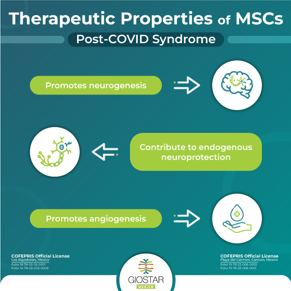 Stem Cell Therapy for Covid 19 syndrome infographic image