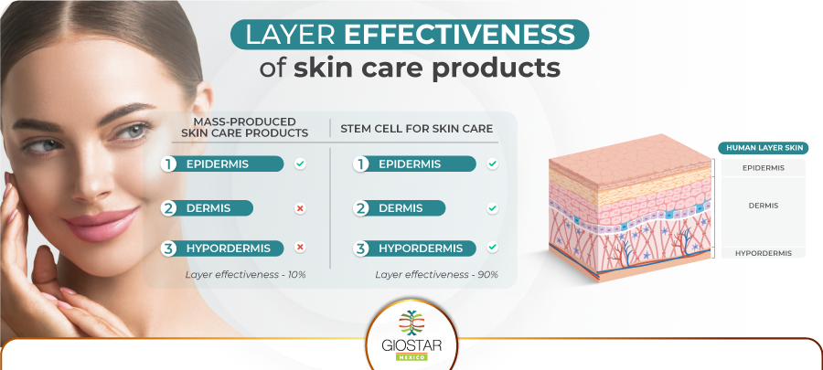 Skin layers and comparison of effectiveness between skin care products and stem cell treatments Skin layers and effectiveness of skin care products versus stem cells for facial application